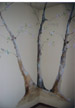 Degas influenced corner tree mural